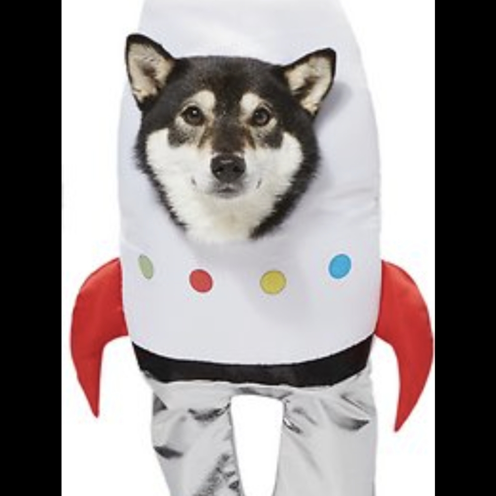 Rocket dog costume - large